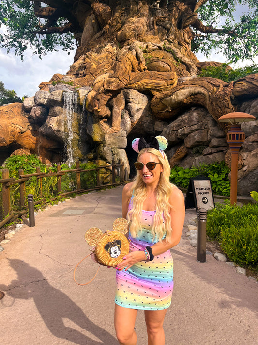 Pastel Rainbow Velvet Ears