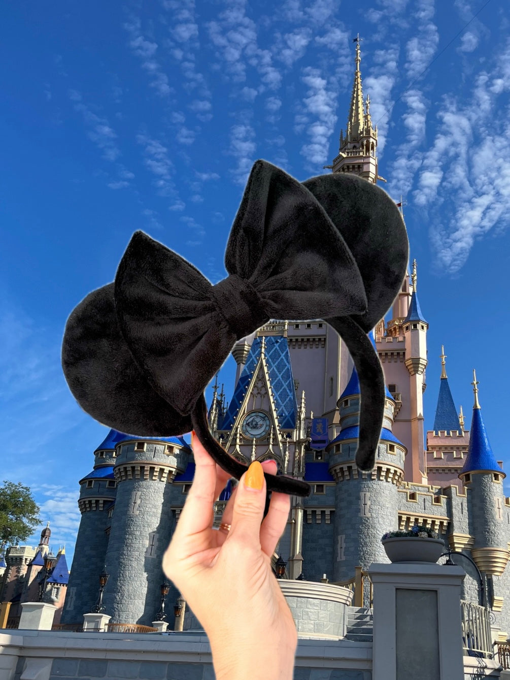 Little Black Velvet Ears