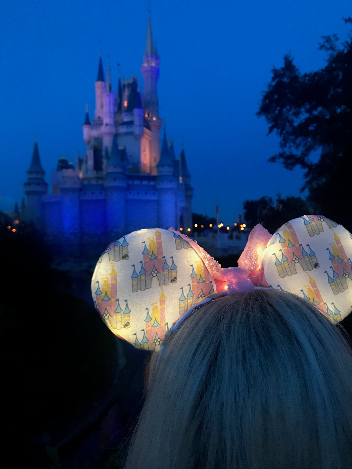 Disney Inspired Magic Kingdom Castle Ears