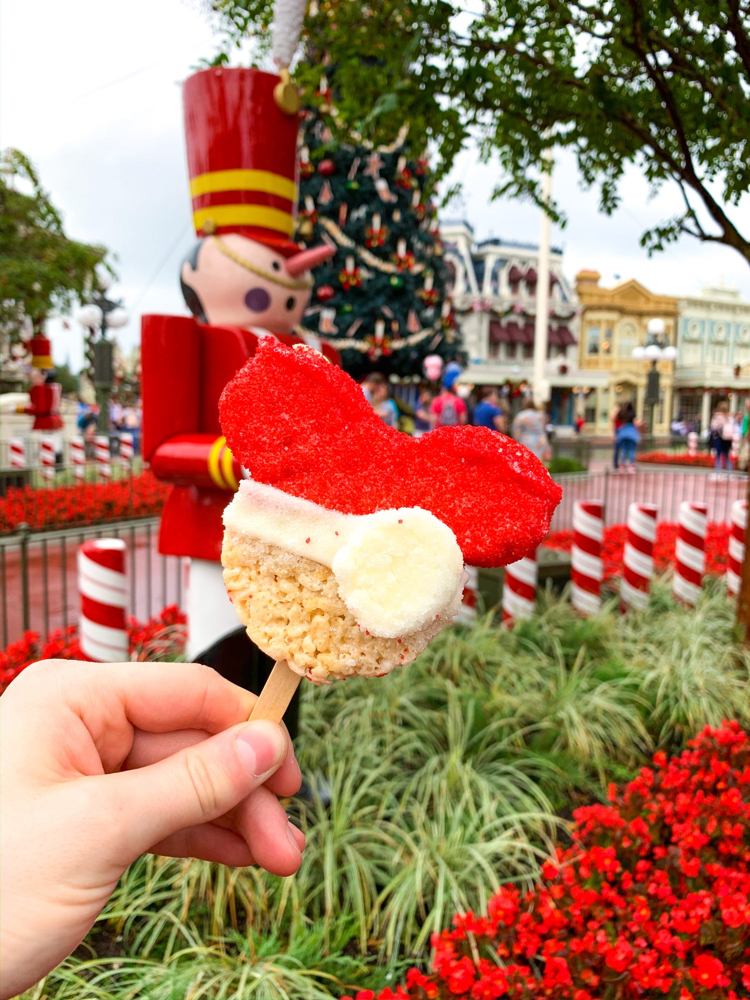 EEA Christmas Surprise Box