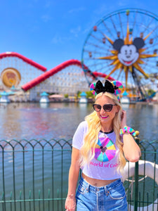 Disney Inspired Mickey DCA Velvet Rainbow Ears